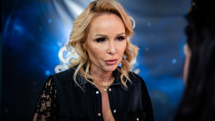 Thumbnail for 6816318