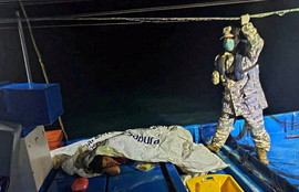 Thumbnail for 6816483