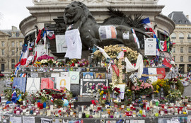 Thumbnail for 6816495