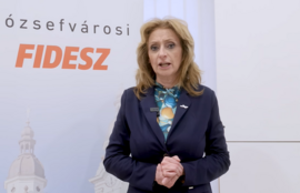 Thumbnail for 6816611