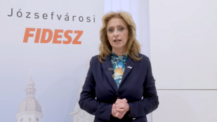 Thumbnail for 6816611