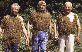 Thumbnail for 6816635