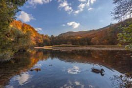 Thumbnail for 6816701