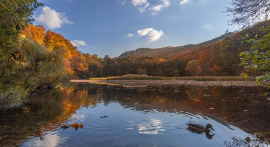 Thumbnail for 6816701