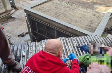 Thumbnail for 6816745