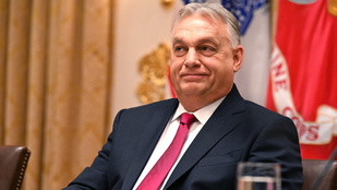 Thumbnail for 6816773