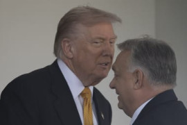 Thumbnail for 6816825