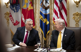 Thumbnail for 6816831