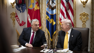 Thumbnail for 6816831