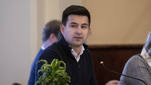 Thumbnail for 6816840