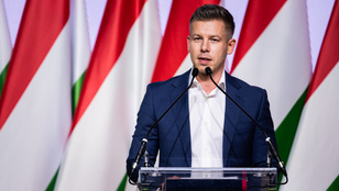 Thumbnail for 6816857