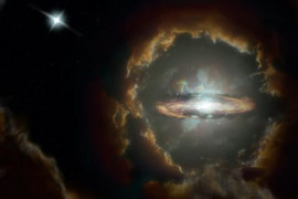 Thumbnail for 6816899