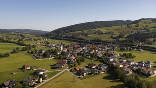 Thumbnail for 6816909