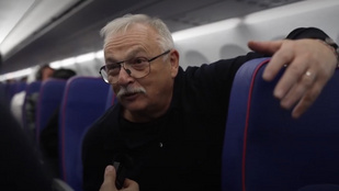 Thumbnail for 6817003