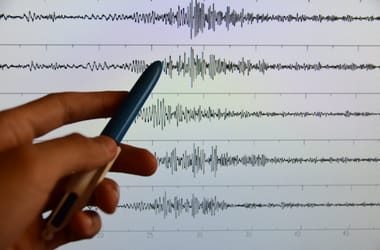 Thumbnail for 6817008