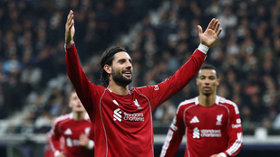 Thumbnail for 6817011