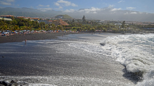 Thumbnail for 6817059