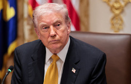 Thumbnail for 6817066