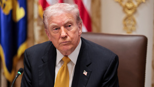 Thumbnail for 6817066