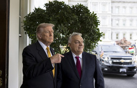 Thumbnail for 6817068