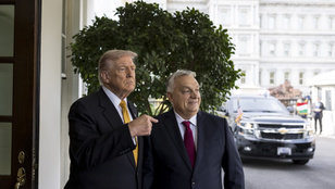 Thumbnail for 6817068