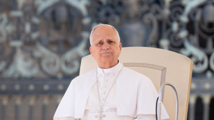 Thumbnail for 6817129