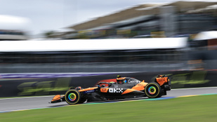 Thumbnail for 6817223