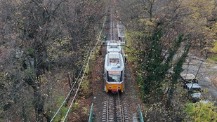 Thumbnail for 6817240