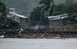 Thumbnail for 6817246