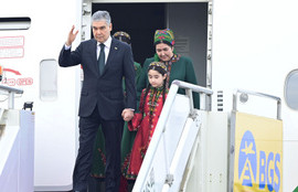 Thumbnail for 6817305