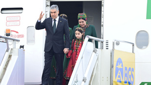 Thumbnail for 6817305