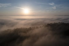 Thumbnail for 6817450