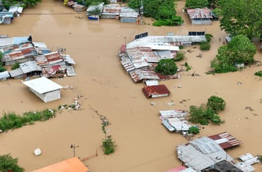 Thumbnail for 6817534