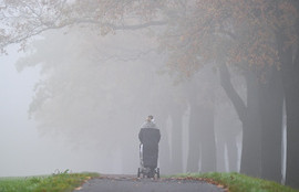 Thumbnail for 6817547