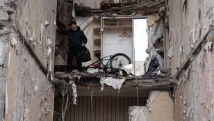 Thumbnail for 6817550