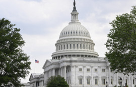 Thumbnail for 6817586