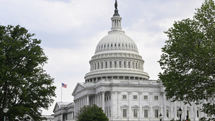 Thumbnail for 6817586