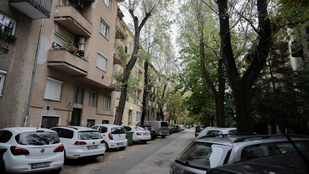 Thumbnail for 6817668