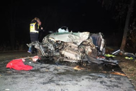 Thumbnail for 6817672