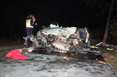 Thumbnail for 6817672