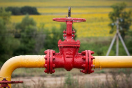 Thumbnail for 6817691