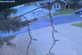 Thumbnail for 6817693