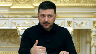 Thumbnail for 6817842