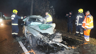 Thumbnail for 6817952