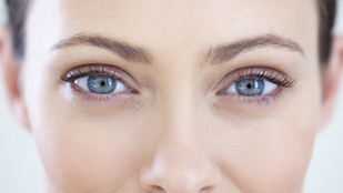 Thumbnail for 6817974