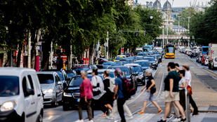 Thumbnail for 6818087