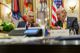 Thumbnail for 6818183