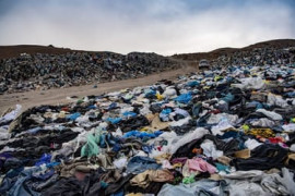 Thumbnail for 6818213