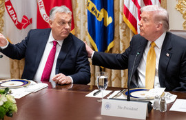 Thumbnail for 6818350