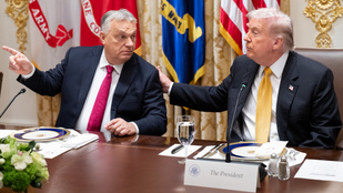 Thumbnail for 6818350